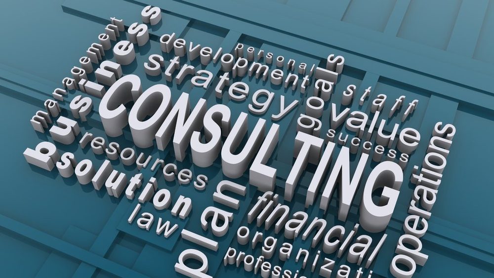 The Role of HR Consultancy in Business Growth